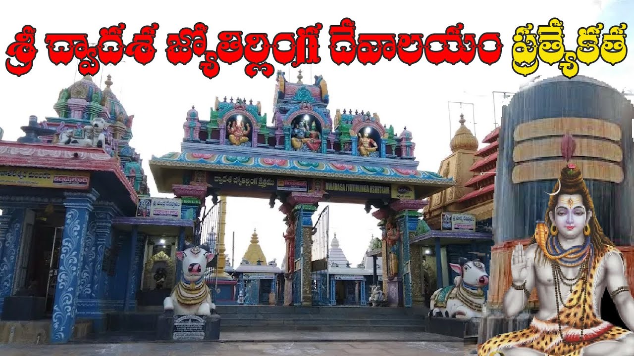 శ్రీ ద్వాదశ జ్యోతిర్లింగాల ఆలయం | మైపాడు, నెల్లూరు | పుణ్యక్షేత్ర దర్శనం | Sri Trinetra TV