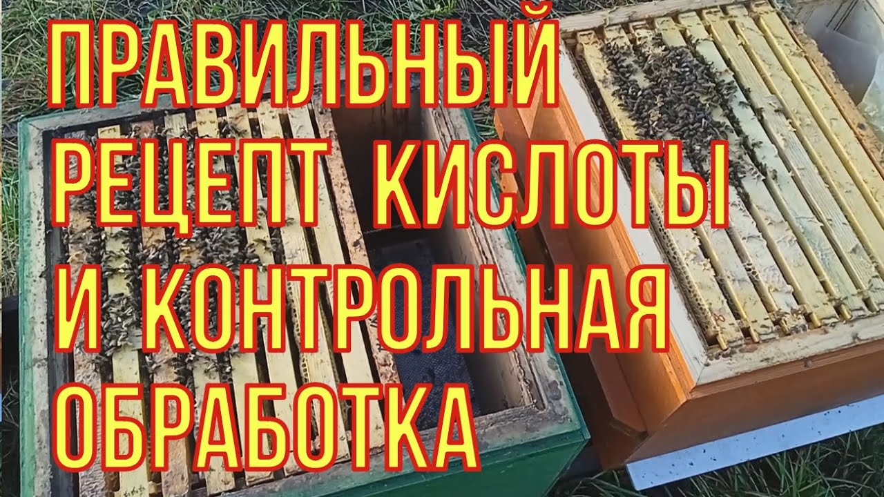 У клеща,больше нет шансов. Тестовая обработка пчёл,правильным раствором кислоты.