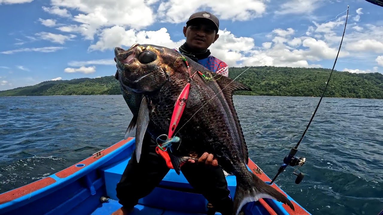 NASIB MUJUR DI SERANG GEROMBOLAN IKAN MATA BONGSANG BABON