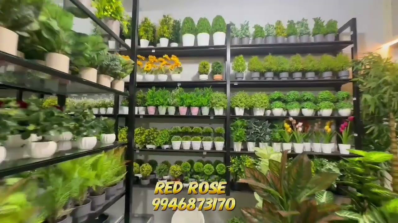 Artificial plants wholesale shop