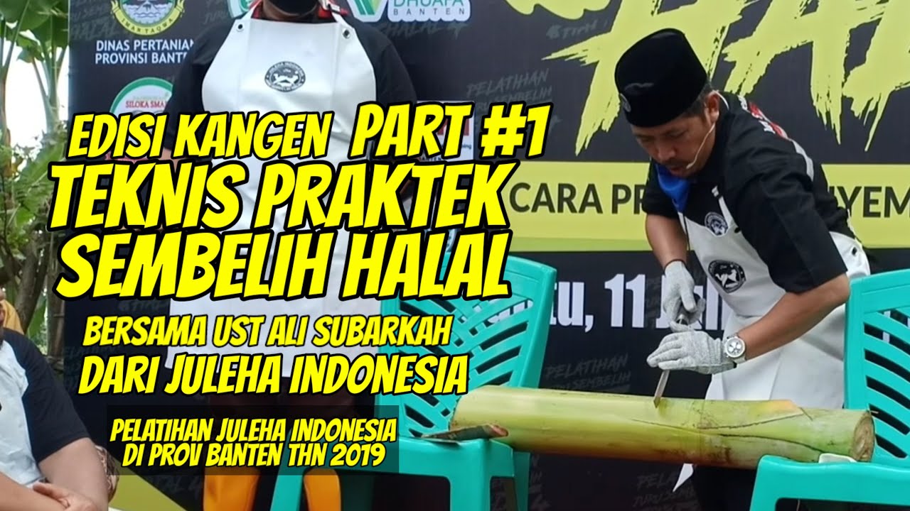Edisi Kangen Ust. Ali Subarkah Part #1 - TEKNIK PRAKTEK NYEMBELIH SAPI - JULEHA BANTEN 2019
