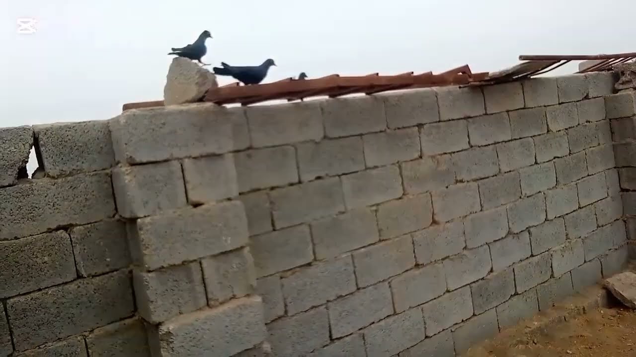 مفاجاه اشتريت 🙂