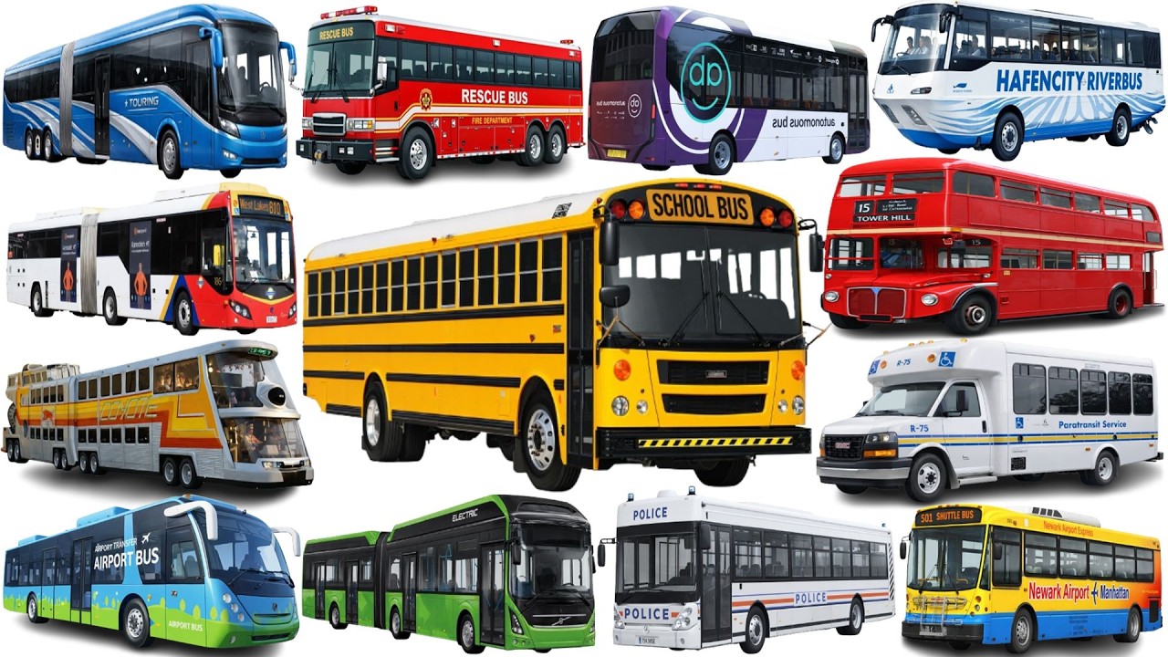 Vehicle Buses for Kids | Learn Rescue Bus, School Bus, Ambulance Bus, Big Bus and Airport Bus.
