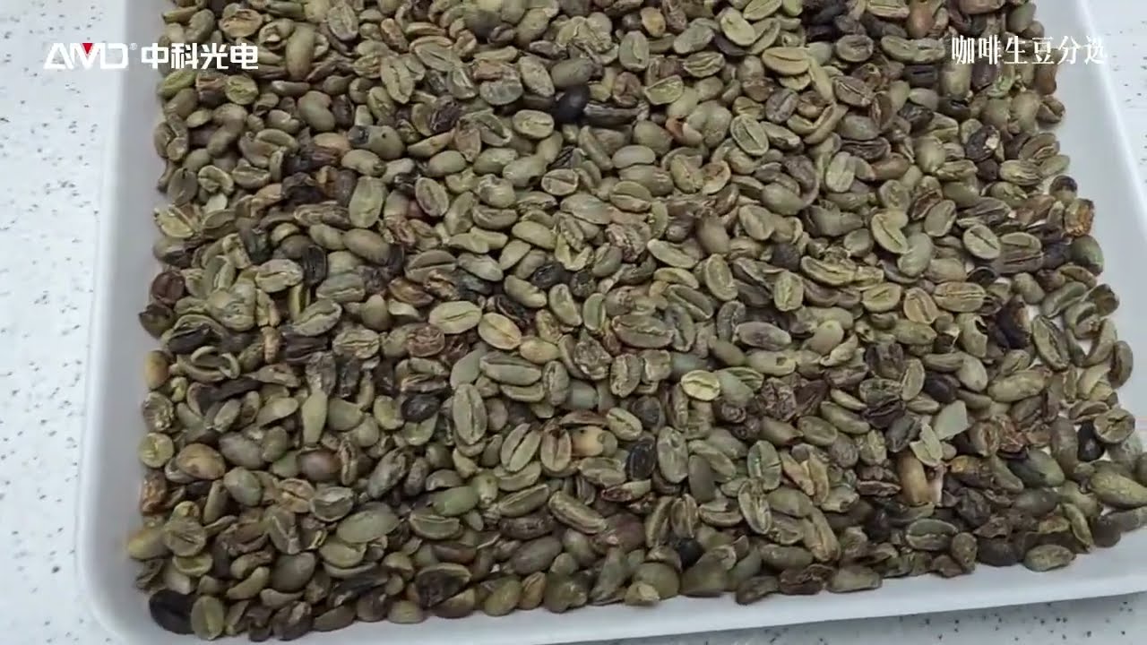 AMD Arabica/Robusta/sun-dried green beans are sorted to reomove discoloration, mold, and stones...