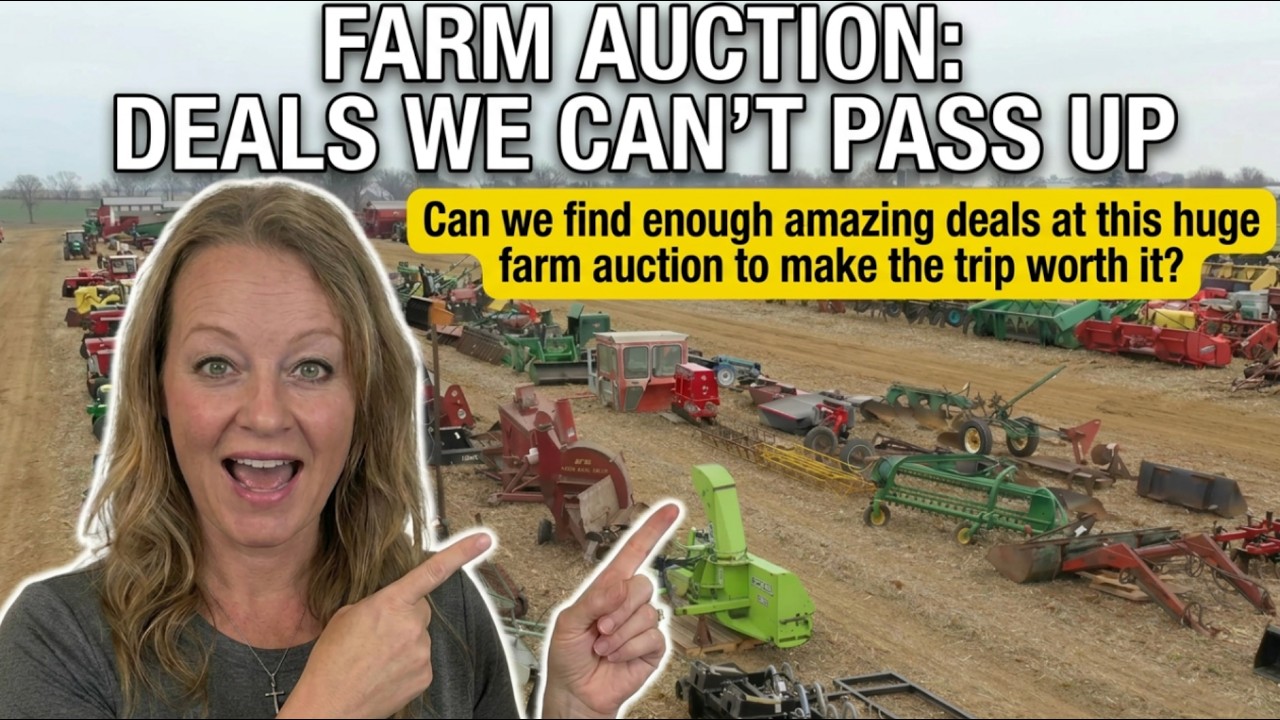 Farm Auction Walkthrough: Deals We Can't Pass Up