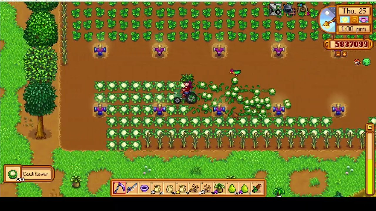 Stardew Valley Prepper Ep 405 Fish pond assessment