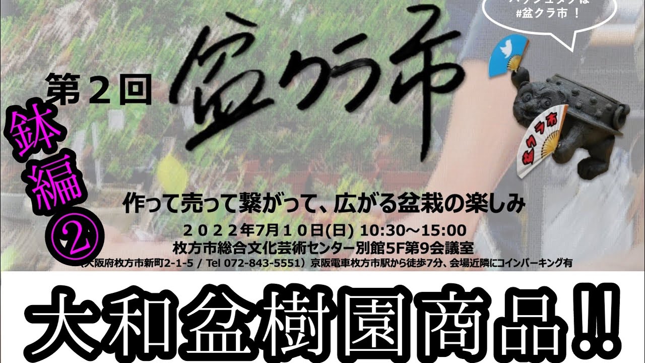 盆クラ市出品商品紹介！盆栽鉢高価編