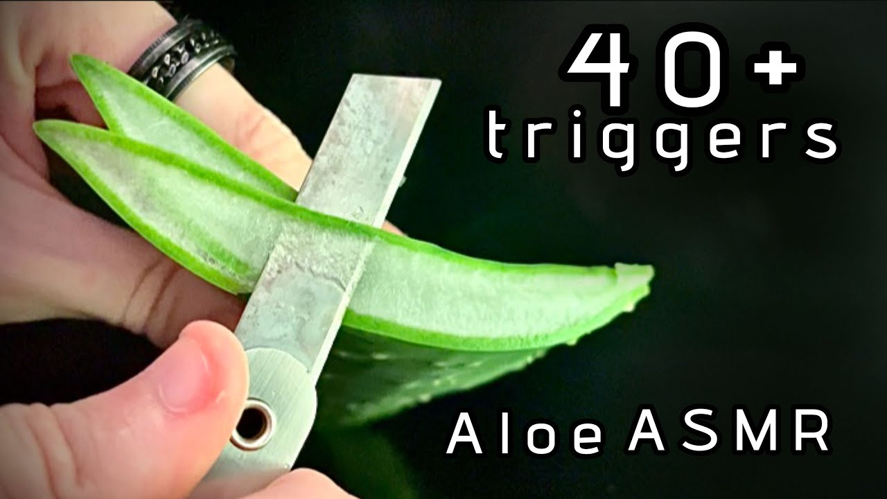 Aloe Sounds That Change Every 30 Seconds | ASMR for ADHD