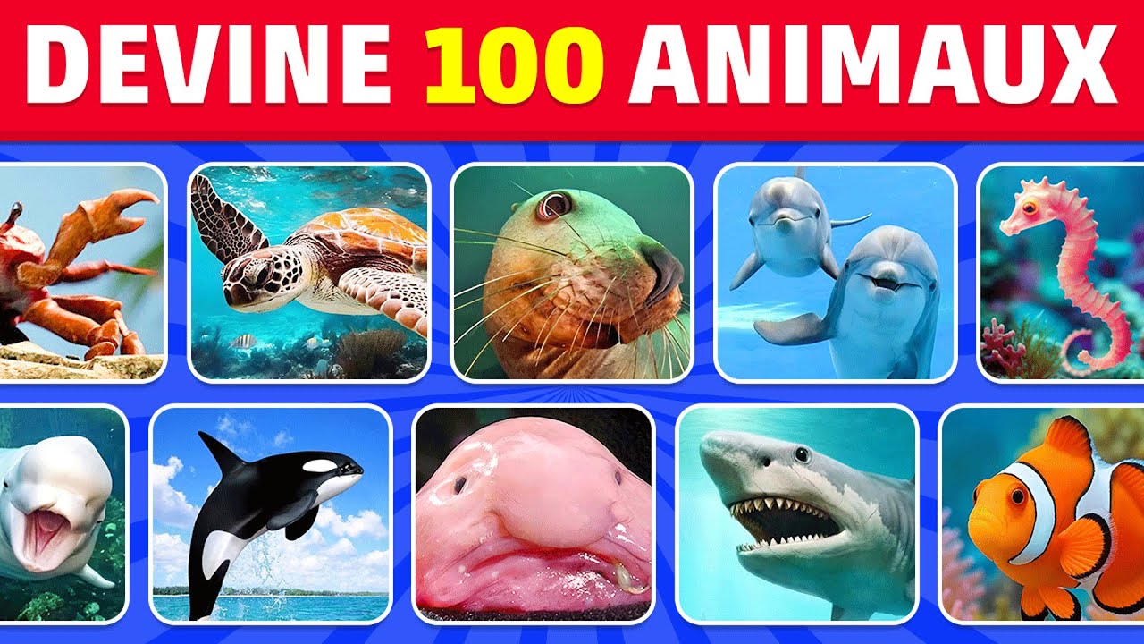 Devine 100 ANIMAUX de la MER en 3 secondes 🐬🐙🐋 Facile à Impossible