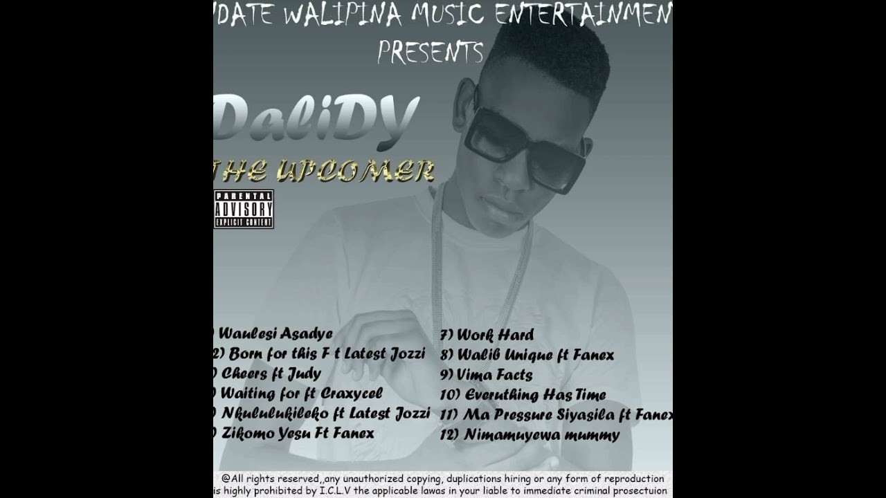 DaliDy x Fanex So unique (The Upcomer Album)