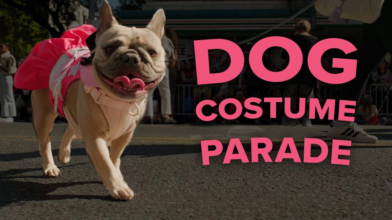 Dog Costume Parade