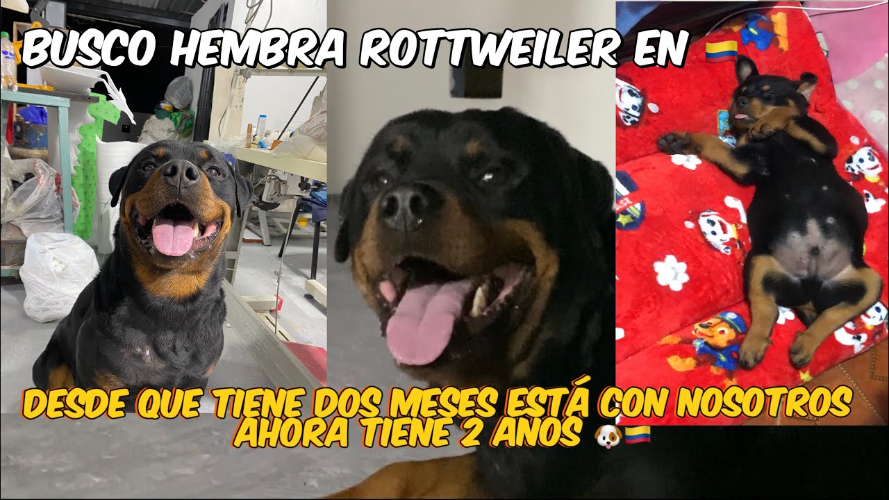 COMO NO ESTAR SEGURO EN LA CASA TENIENDO ESTE GUARDIÁN 💀👿!!