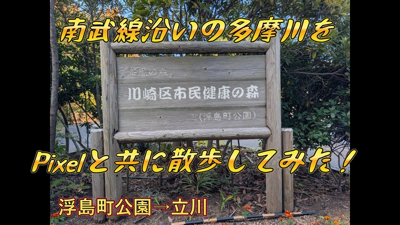 【Pixel】浮島町公園→立川の多摩川をスマホと共に散歩してみた【FHD】