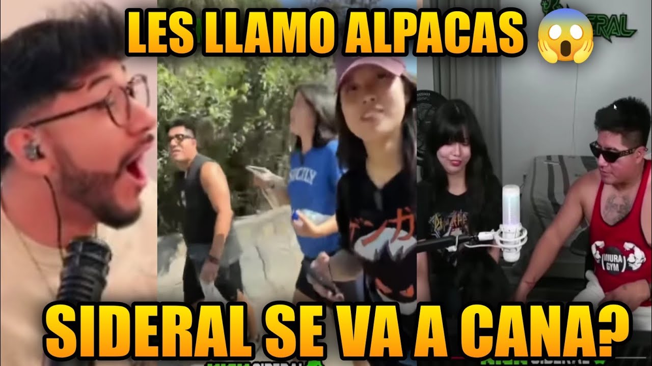 ZEIN se ENTERA de TODO el LORE de la DENUNCIA de SIDERAL