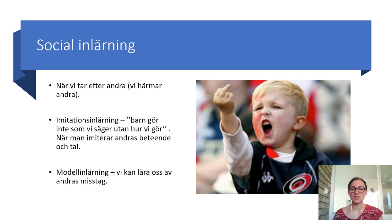 Beteendeperspektivet och behaviorismen