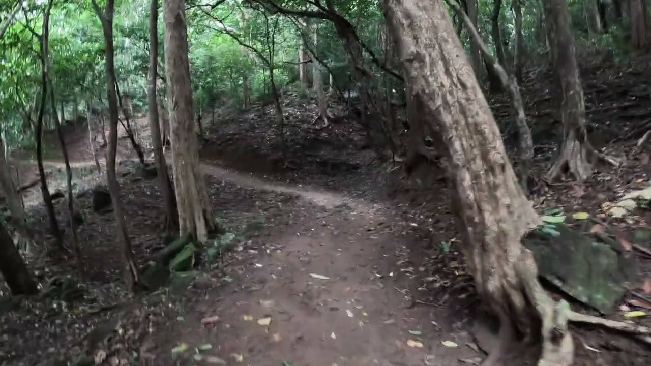 Agathiyar malai hills 