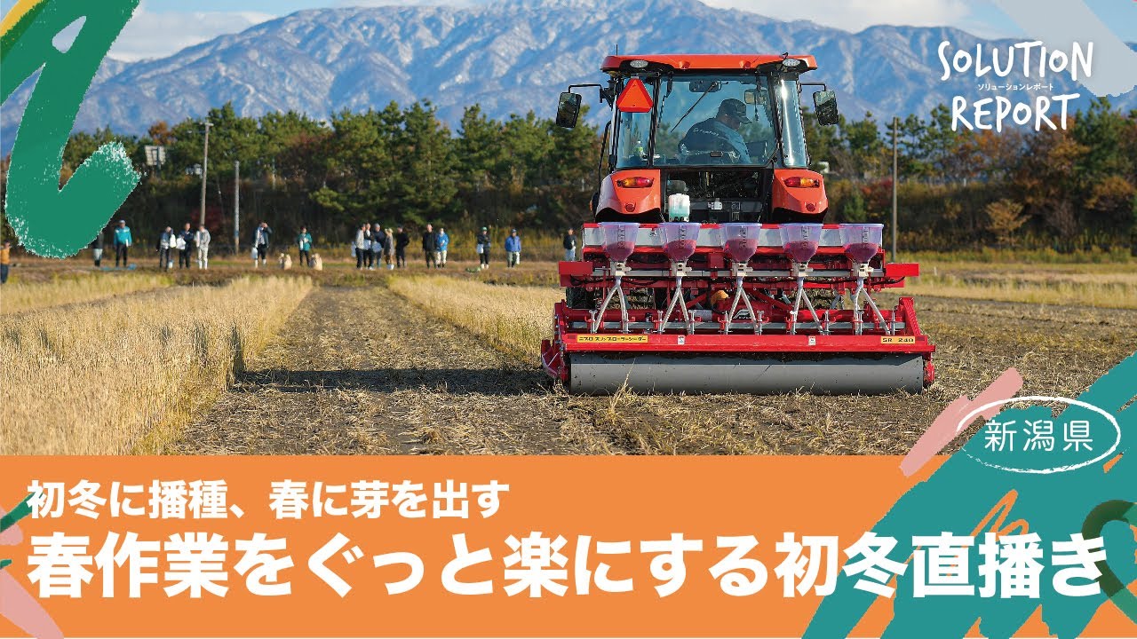 【実証事例】初冬に播種、春に芽を出す 春作業をぐっと楽にする初冬直播き(新潟県2025/11/20)