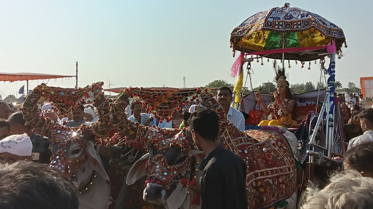 Bhatiya parivar bhagavat sapata divas 6 rukashmani viva