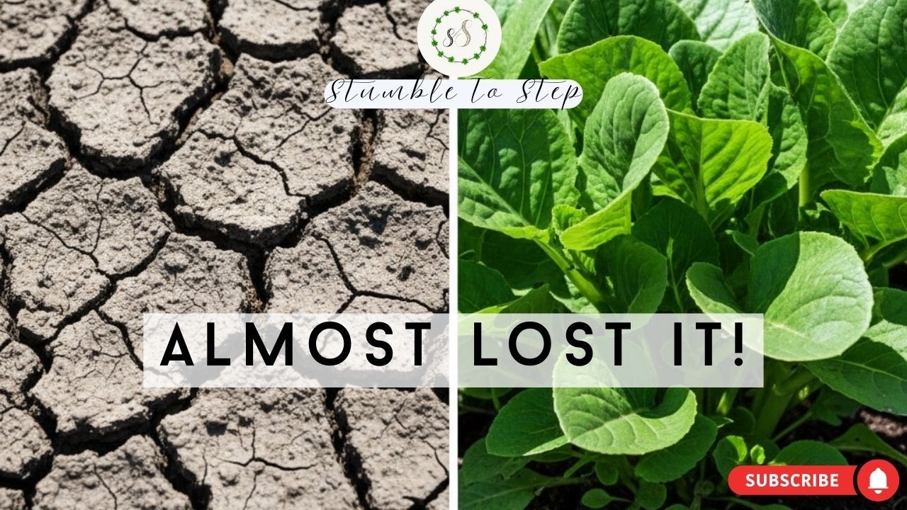 The Summer My Garden Almost Died