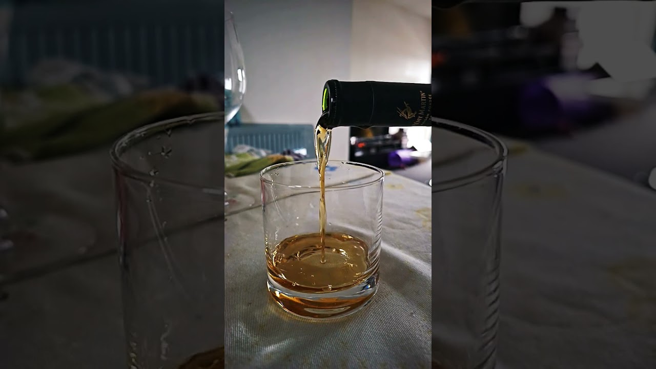 🥃 Raising a Glass to Forget My Broken-Down #Harley: #R&eacute;myMartin in Super Slow Motion 🍻 #fail