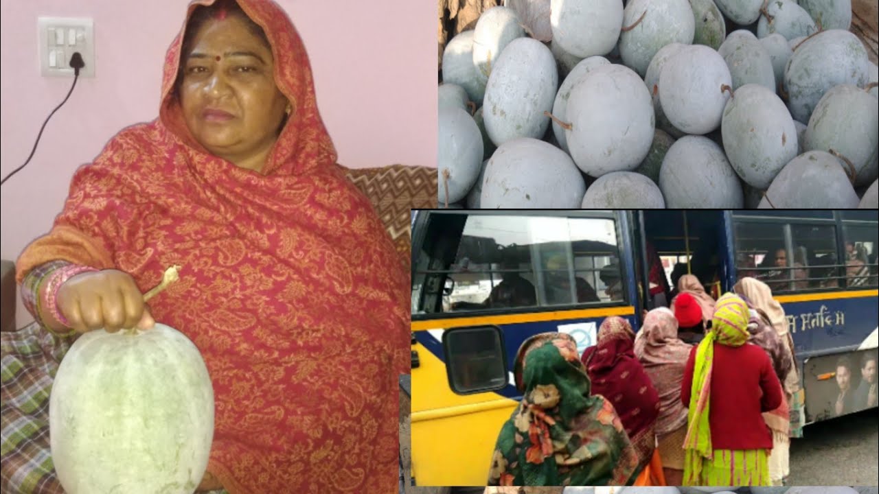 देखो आज कहां गाए और क्या ले आई घर