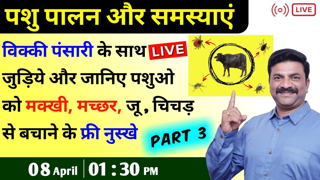 विक्की पंसारी के साथ live जानिए पशुओ की समस्या व मक्खी, मच्छर, जू , चिचड़ से बचाने के फ्री नुस्खे |