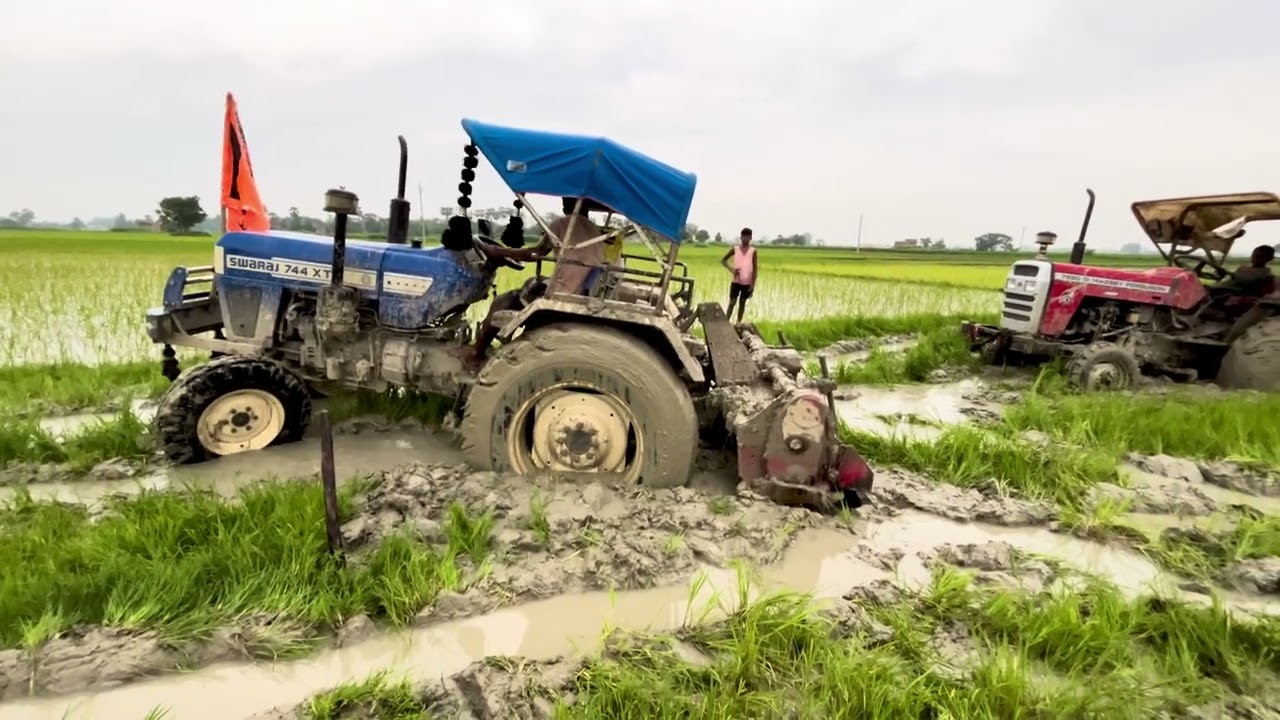 Fas Gaya Massey 7250 Daladal Me 😢 | Dekho Swaraj 744 XT Ka Dhamakedar #raojamidar 