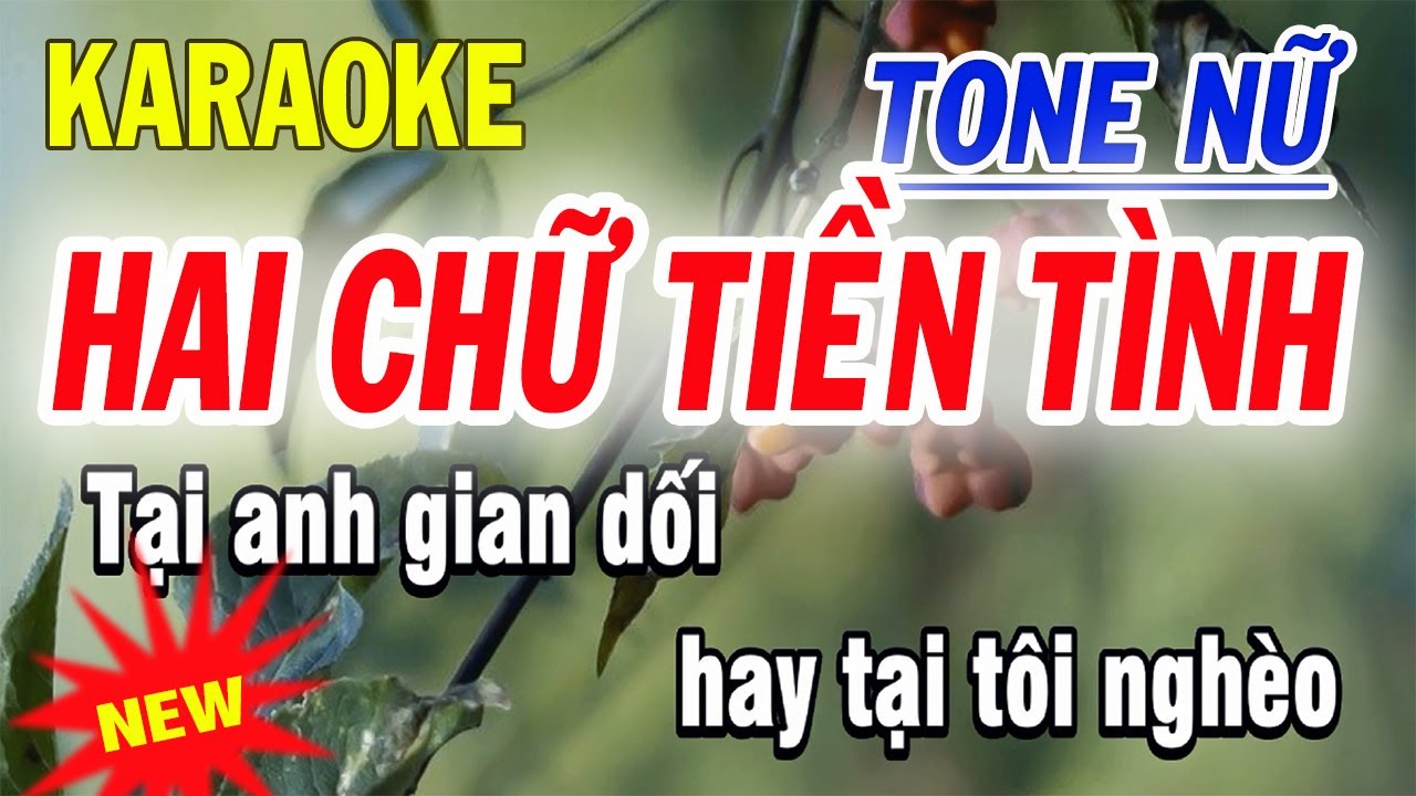 Hai Chữ Tiền Tình Karaoke - Tone Nữ - ST Thanh Hùng - Beat Dễ Hát