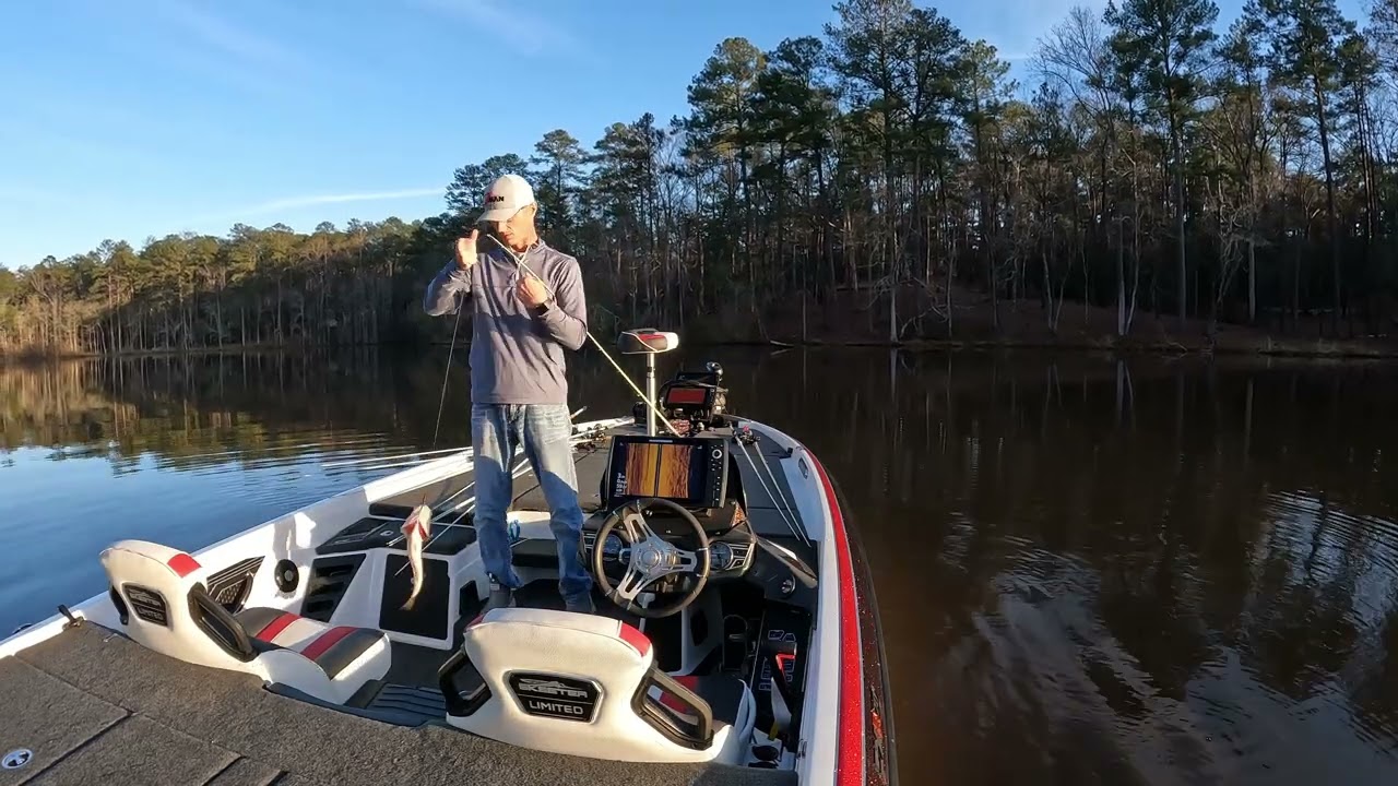 Livescope Fishing