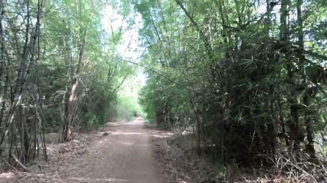 Lingambudhi Kere, Ramakrishnanagar, Mysuru,