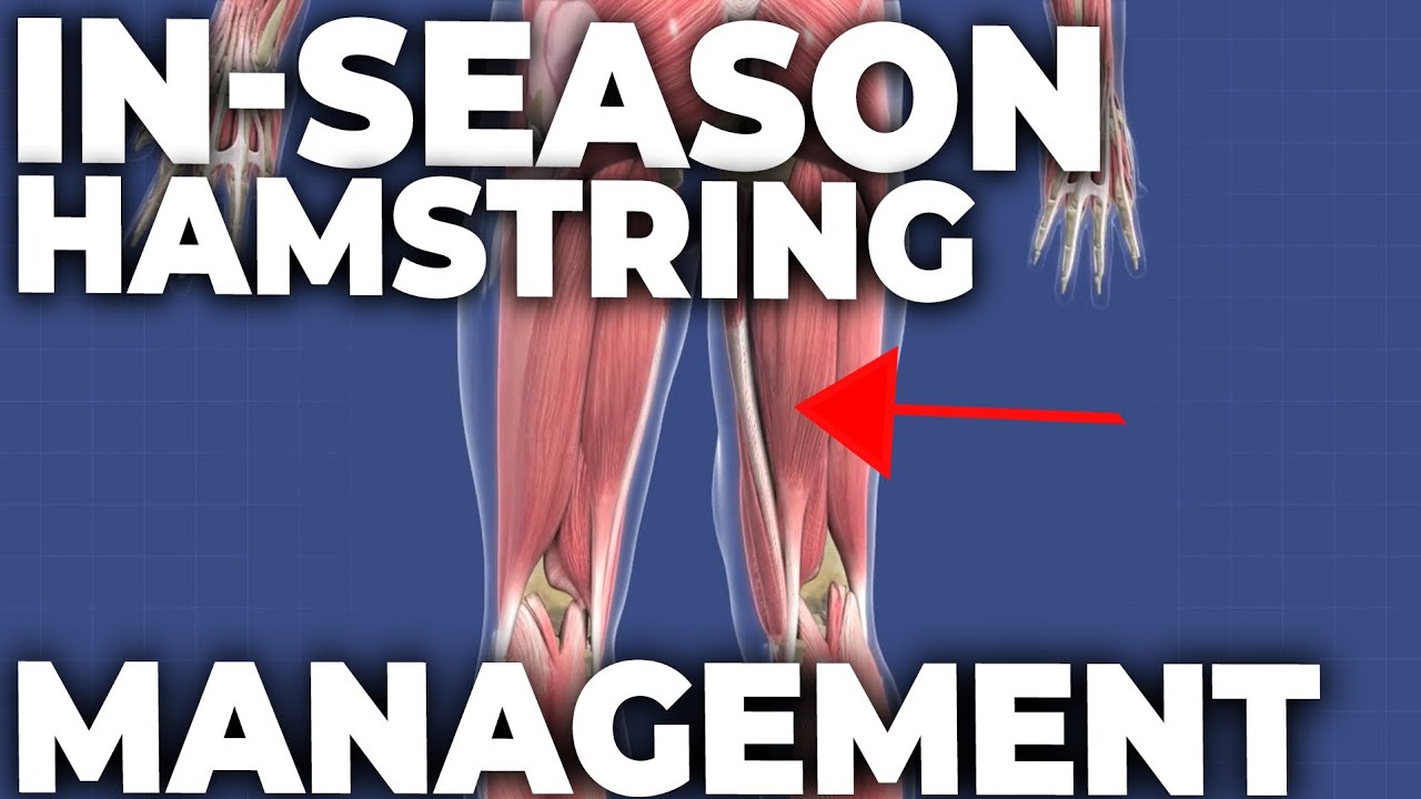 3 Best Hamstring Rehab Exercises (Fast and Safe Recovery)