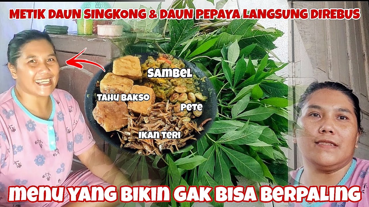 METIK DAUN SINGKONG DAN PEPAYA LANGSUNG DI REBUS‼️ BIKIN SAMBEL BUAT COELAN KLUBAN🤤
