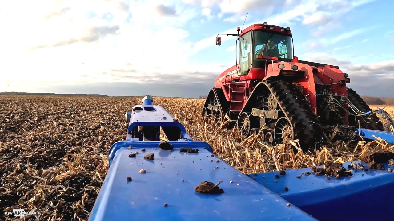 CaseIH Quadtrac pulls Landoll VT - Fall tillage - Burned corn field update - Puppies!