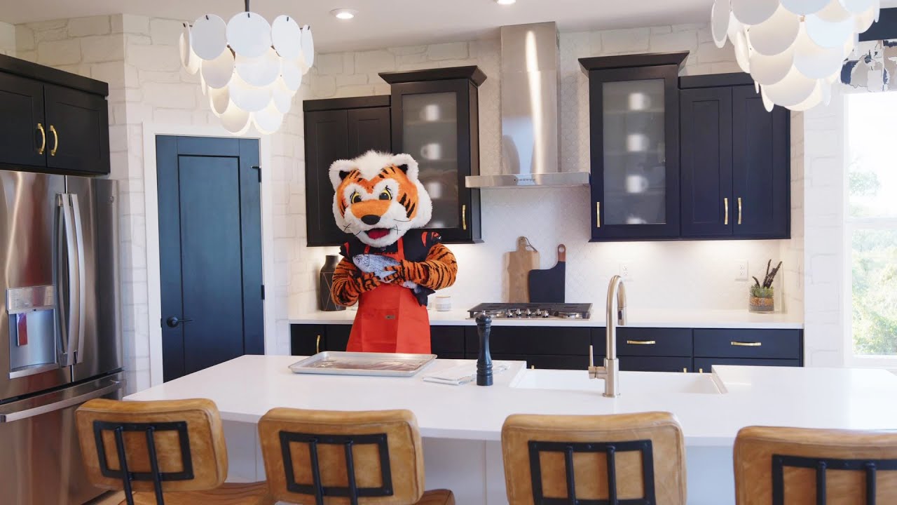 Bengals vs Seahawks | Who Dey at Home