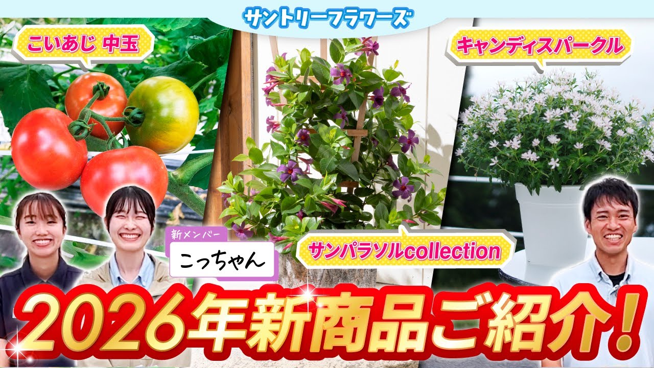 【サントリーフラワーズ】2026年春夏新商品のご紹介！