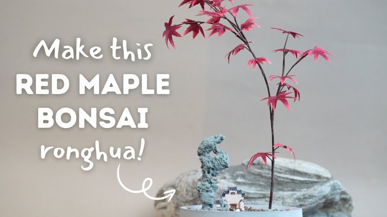 Ronghua Tutorial: How to Make this Ronghua Red Maple Bonsai/Penjing 盆景