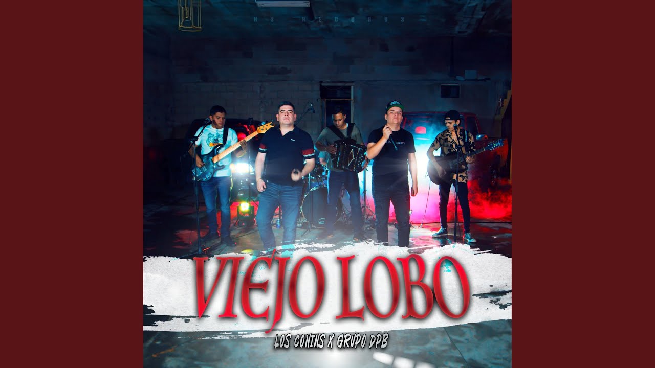 Viejo Lobo