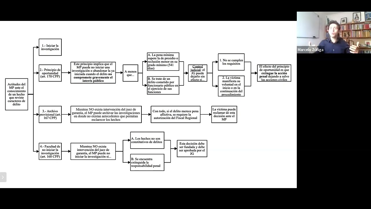 Esquema General del Proceso Penal.