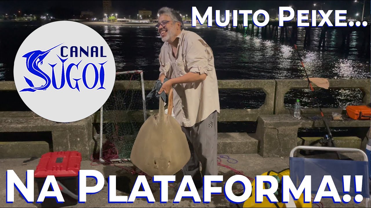 Muito Peixe na Plataforma em Mongaguá !! Praia em São Paulo.