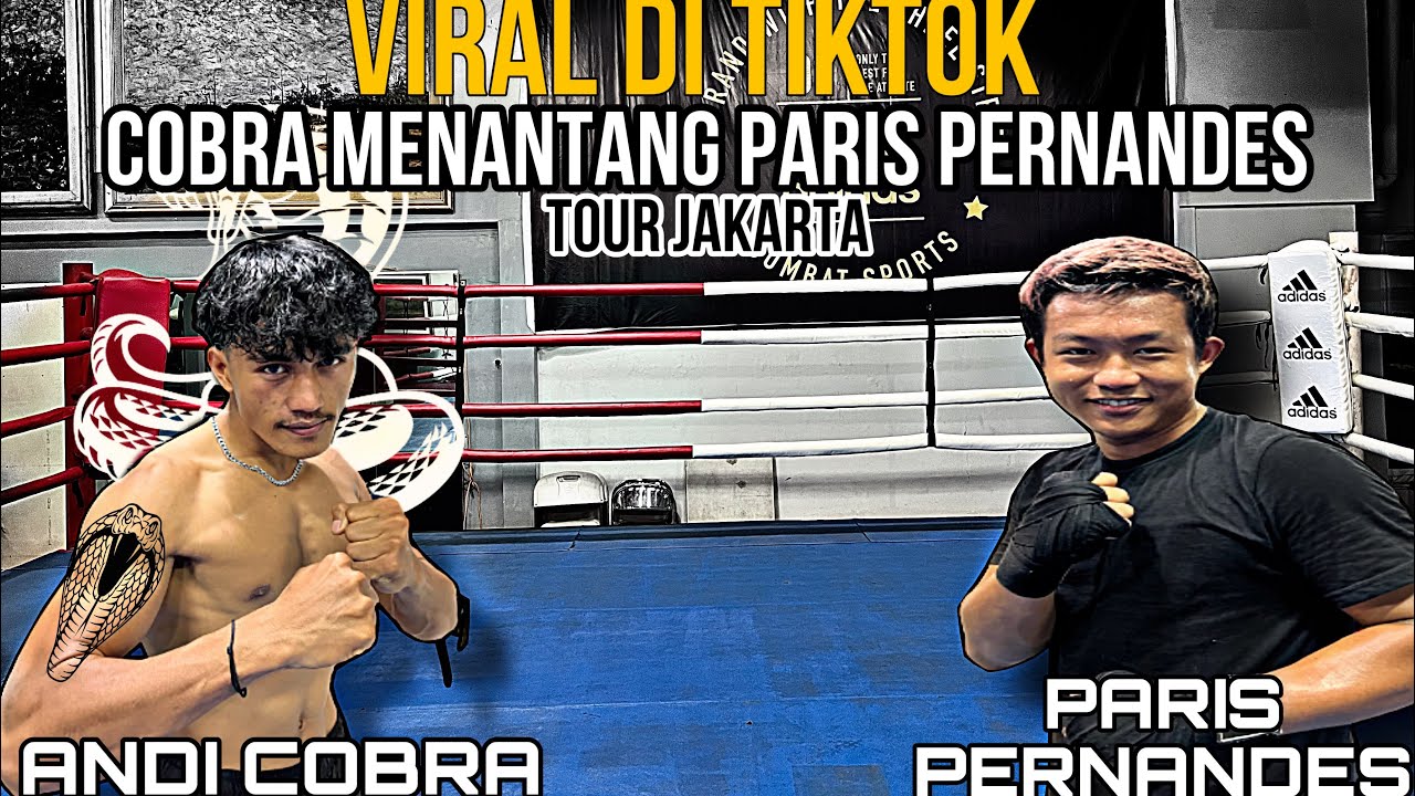 VIRAL DITIKTOK!!! ANDI COBR4 VS PARIS PERNANDES. SANGAT BERBISA!!!!!!