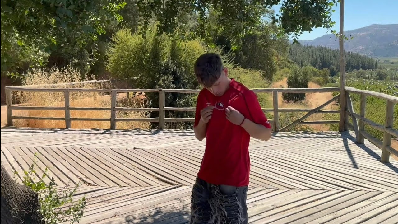 WYA CHILEAN VERSION🇨🇱 - PulZo420 (Visualizer) 14F❤️