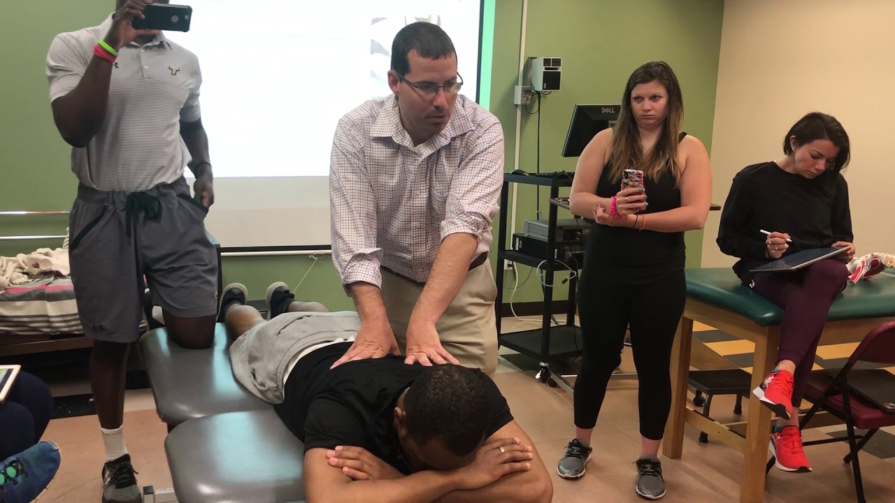 Costotransverse mobilizations