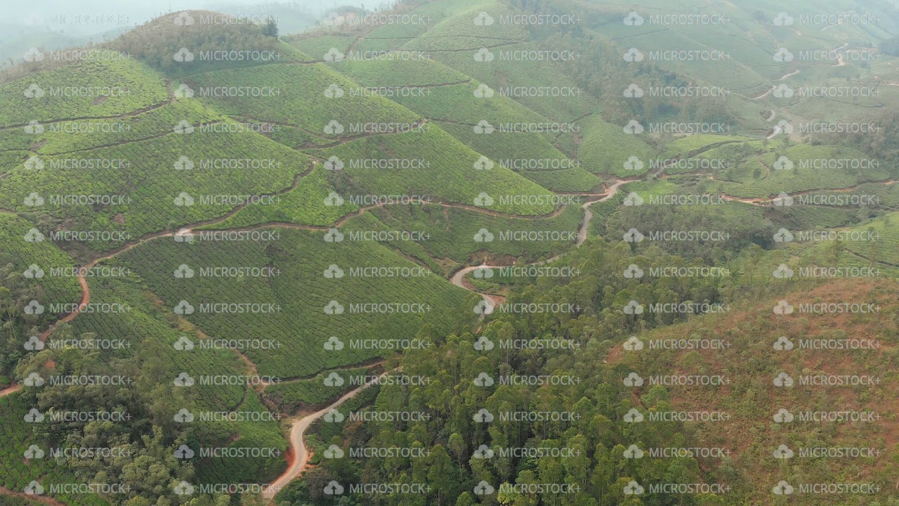 Aerial view of drone tea plantations in the vicinity of the city of Munnar. Kerala. India.