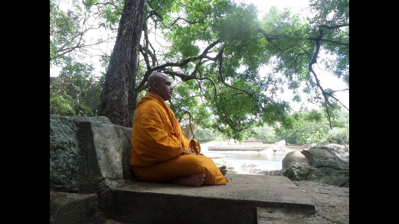 2025.12.07.Sammasamadhi  Meditation