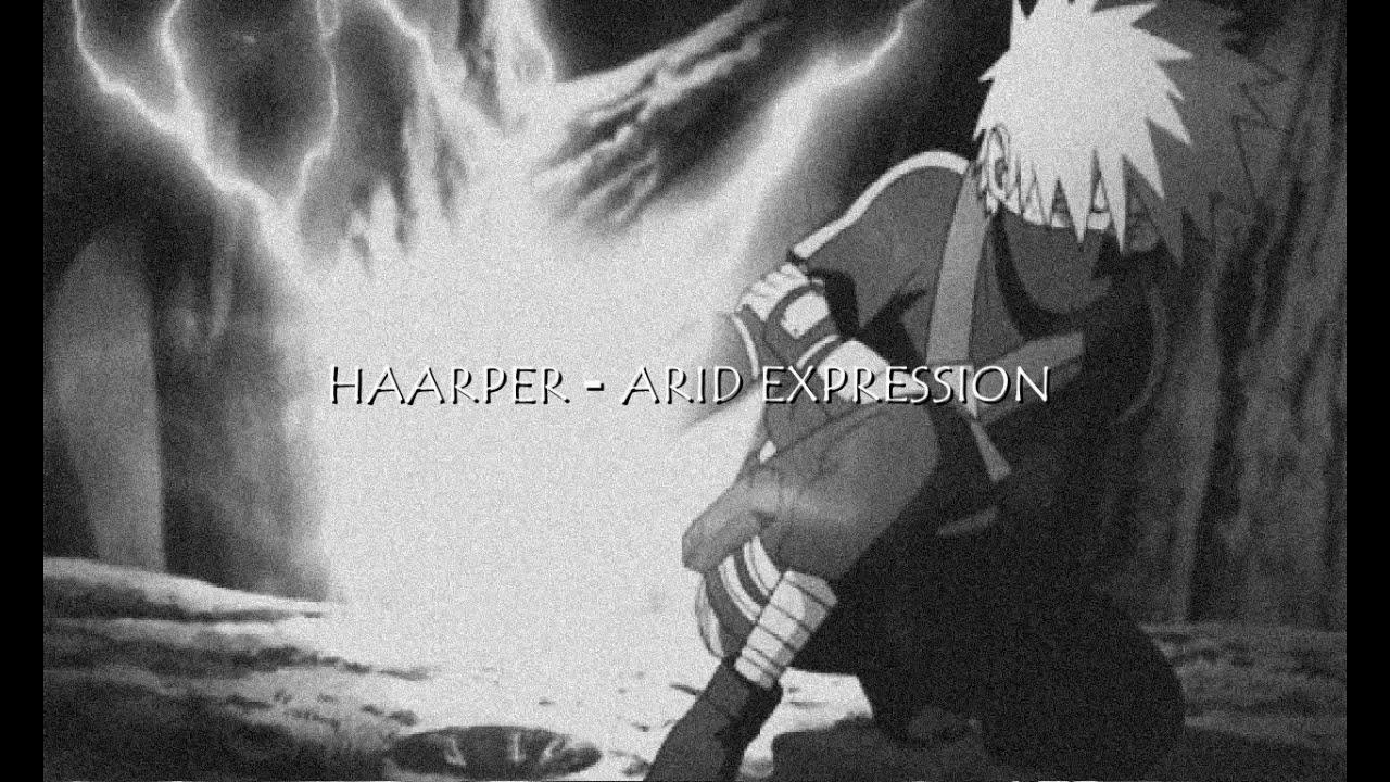 HAARPER - ARID EXPRESSION