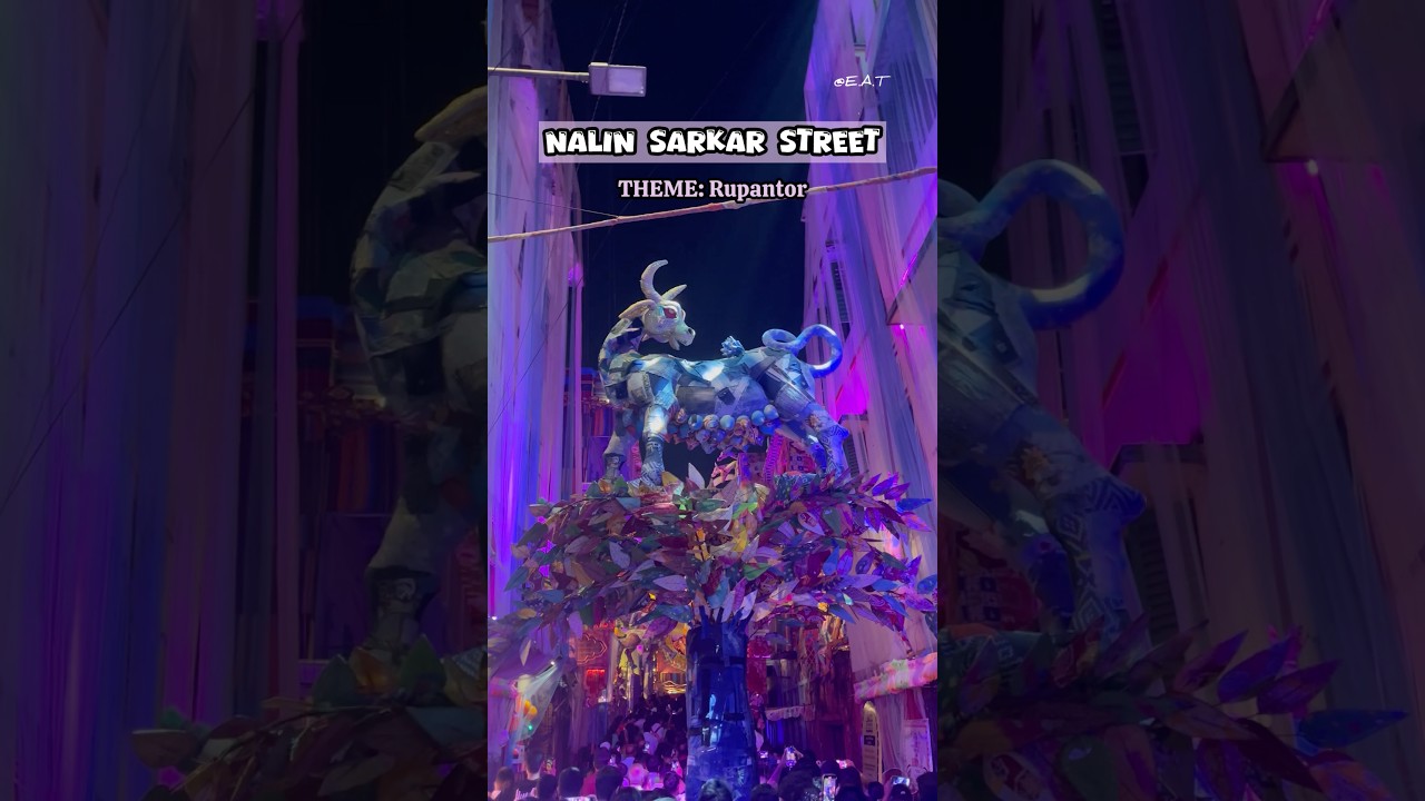Nalin Sarkar Street Durga Puja 2025 #shorts #shortsfeed #durgapuja #trending #northkolkata