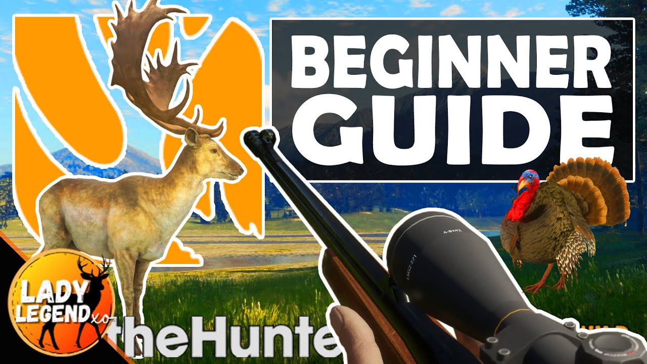 Beginner's Guide - A MUST WATCH GUIDE For Starting Off in The Hunter Call of the Wild!