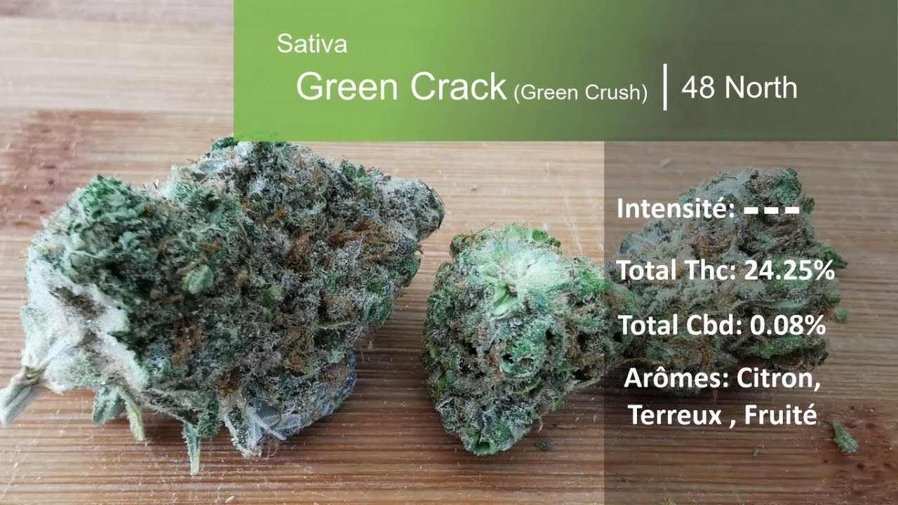Cannabis r&eacute;cr&eacute;atif SQDC #45: Crush vert (48 North)