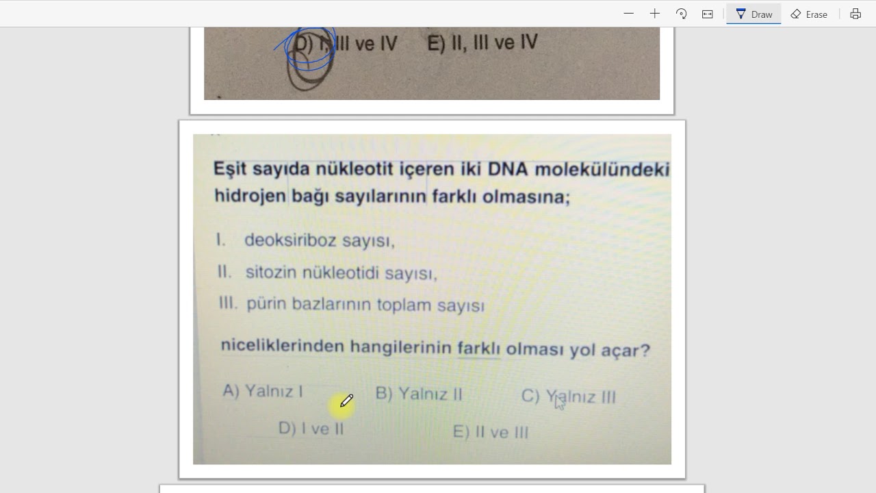 Biyoloji Soru Çözümü 2