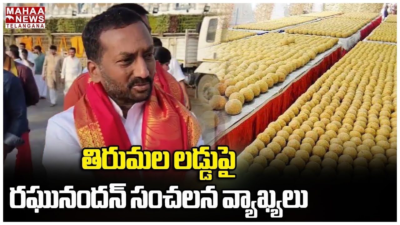 తిరుమల లడ్డుపై రఘునందన్ సంచలన వ్యాఖ్యలు | MP Raghunandan Rao | Tirumala Laddu | Mahaa Telangana